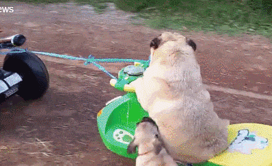 生活|搞笑GIF:在网吧多年,第一次看到这么懂得生活的少年