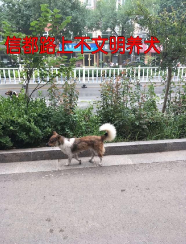 文明|曝光台 | 这些不文明行为你有吗?