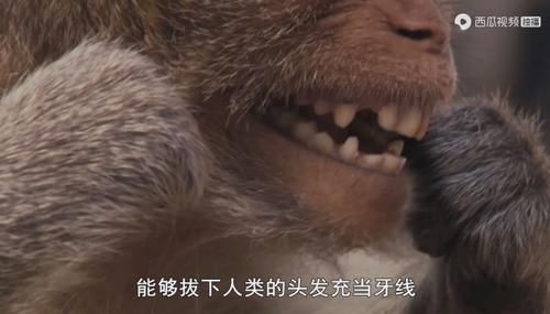  佳作|豆瓣预定超9分的佳作：原来我们错过许多惊喜，真遗憾没早点看到