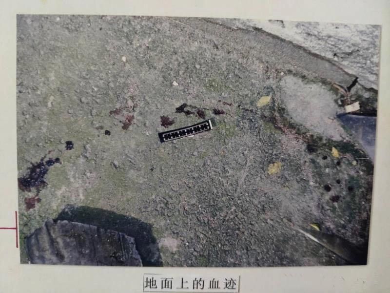  遇害|24 岁妙龄少女深夜遇害，凶手“人间蒸发”！18 年后，案件终于告破