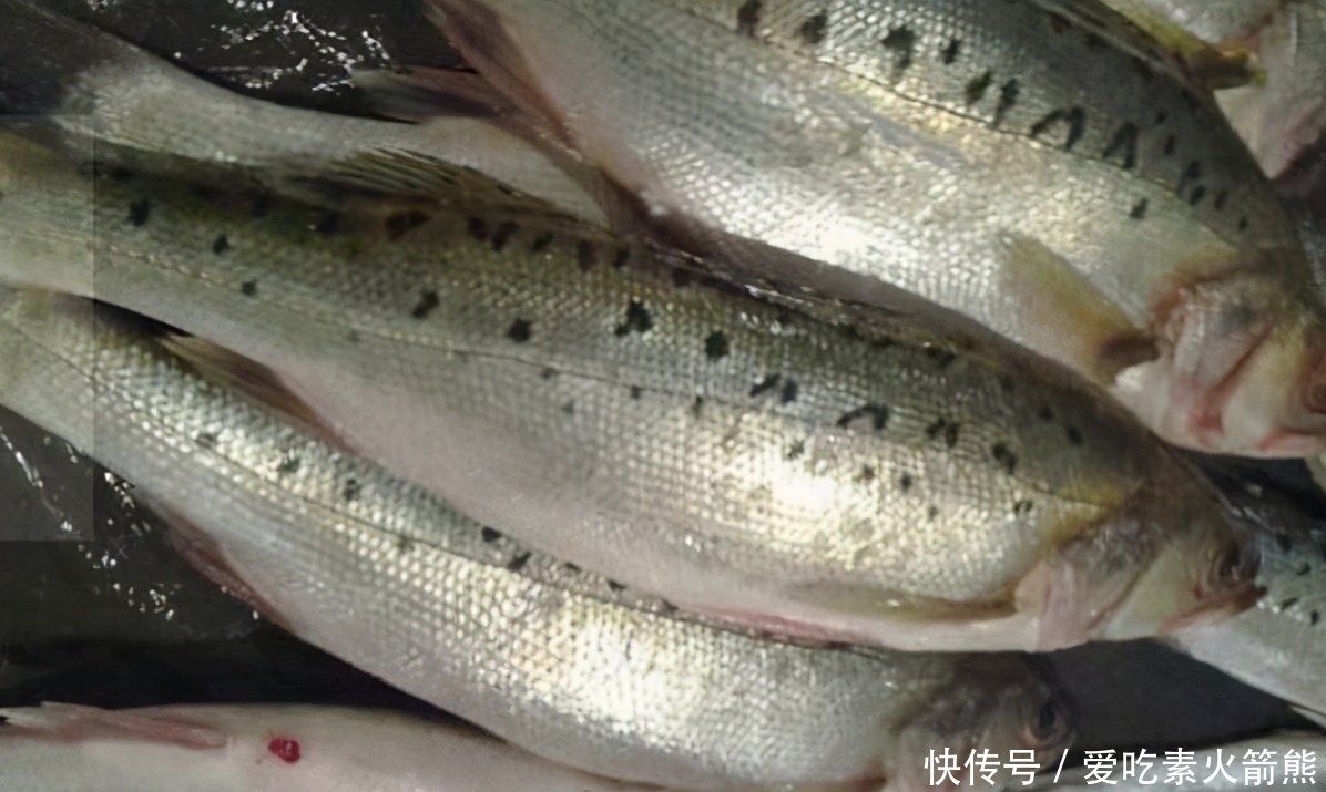忽悠|买鲈鱼别只会看大小,好不好吃就看4点,鱼贩:这人不好忽悠