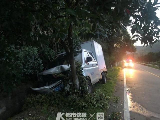 男子|为了拿到新鲜海鲜,临海一男子码头等一夜,凌晨回家疲劳驾驶撞行道树