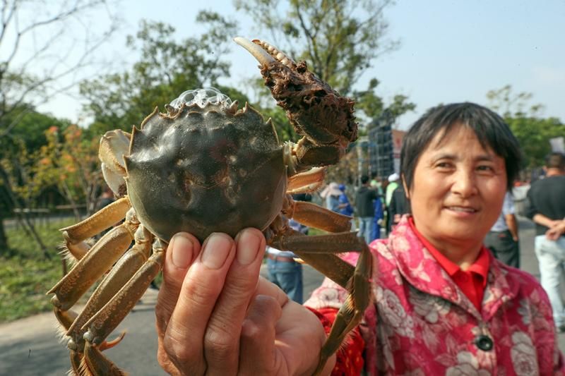 上海|你知道吗？大闸蟹的称谓和上海有关，上海人最爱吃何种蟹