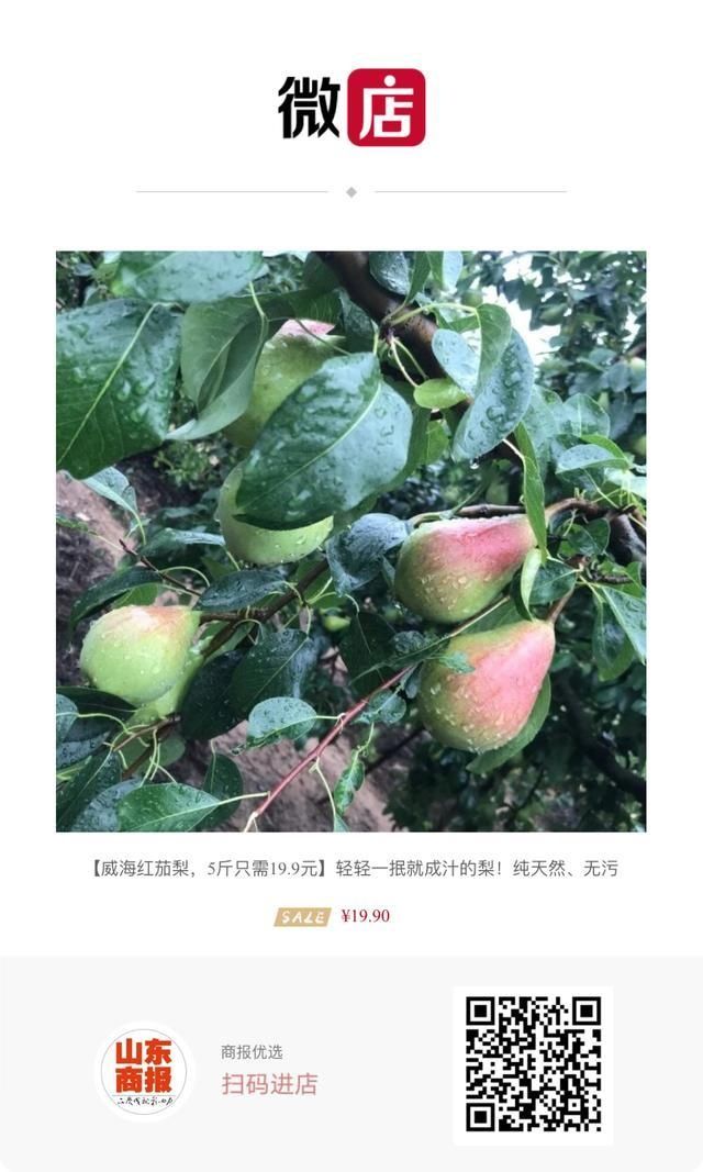  突发|突发！济南一小区发生命案