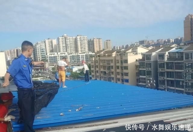  违章|顺庆依法拆除一批违章搭建，快看有你家小区吗？