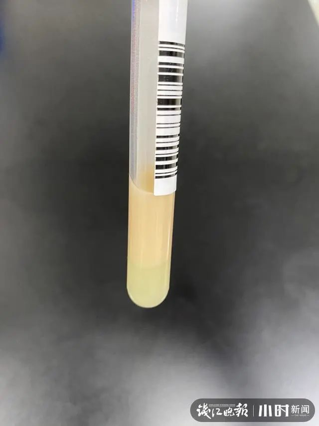  中心|杭州市中心公厕边，出现两条蟒蛇！消防员紧急出动