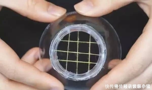 全家人|把线缝在塑料瓶口上,没想到还有这个大妙用,全家人都要抢着用!