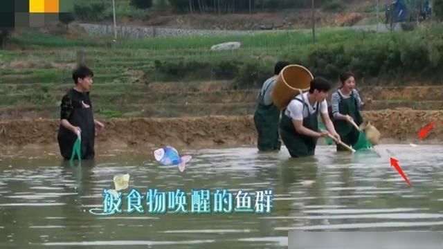  穿帮|穿帮了？《向往的生活》遭质疑替身做饭，导演仅用八字就解除危机