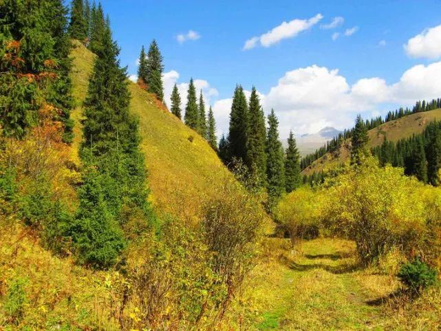  蹊跷|姜广富：蹊跷的命案｜故事