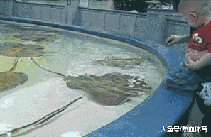 搞笑|搞笑GIF:伴娘在哪里找的真能闹