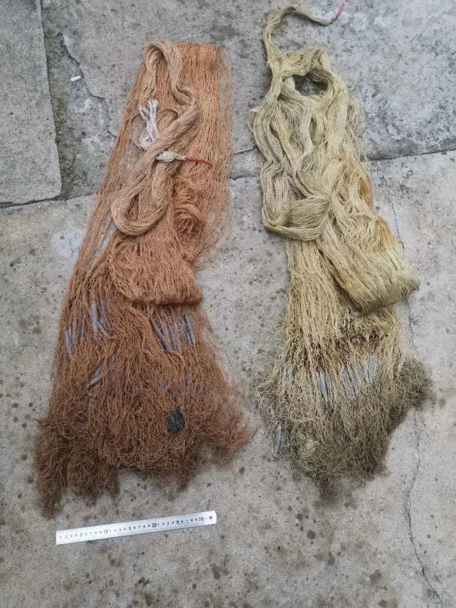 举报|举报！最高奖励2万元！