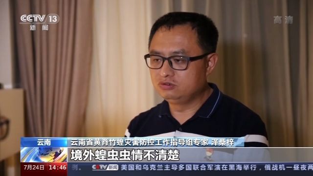 迁飞|黄脊竹蝗分三路迁飞入境云南 45组无人机组“定点”监测阻截