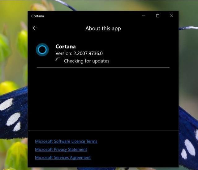  绕过|微软Cortana App可绕过Windows 10应用商店更新