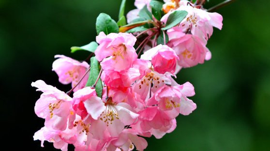 未来|未来三个月, 4属相运势大旺, 横财滚滚, 生活富贵无忧