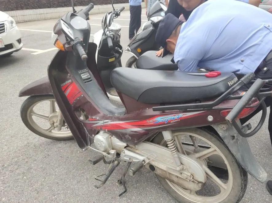  车辆|抓获6人，追回被盗车辆20台！