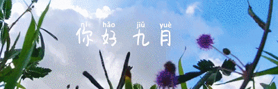演绎|民警魔幻演绎“成功学大师” 提醒市民注意防骗