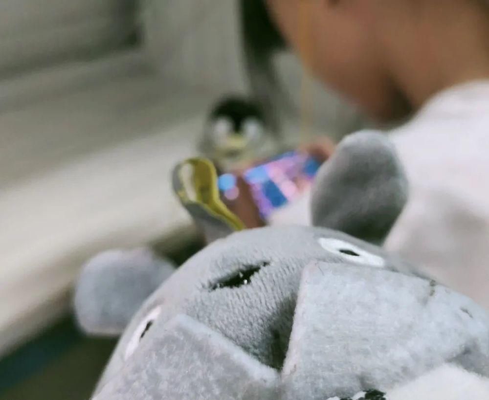 学长共同考|以室友之名