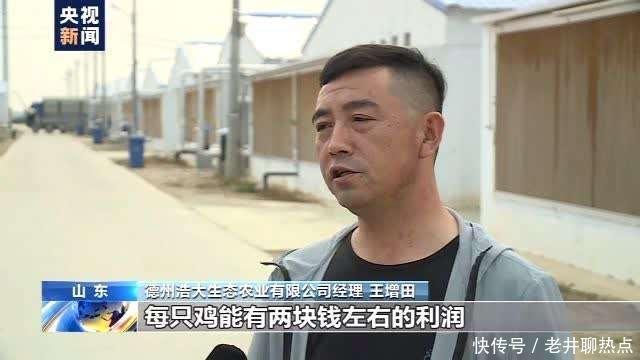 上半年|全国“菜篮子”产品供应总量充足 上半年生猪生产好于预期