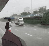 温柔|愿所有有教养的人，都被这个世界温柔以待