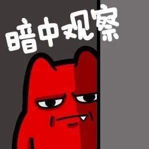 支付密码|手机摇一摇，摇来的女网友竟是……厦门一男子被拉黑之后，报警求助