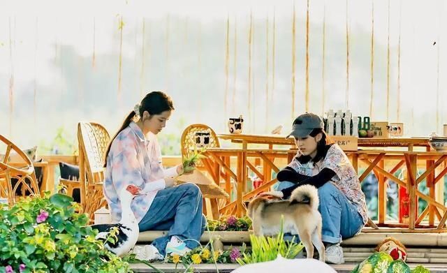  巅峰|不断被贬低的《向往4》，恰恰是这一综艺的巅峰