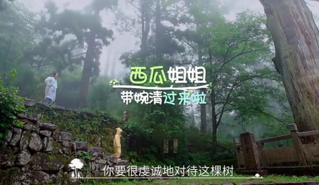 被迫|郑爽节目中遇生理期却被迫淋雨,有谁注意她的动作?女生看了都懂!