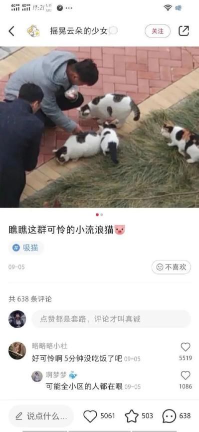 企业网站建设：开启数字化转型的新篇章