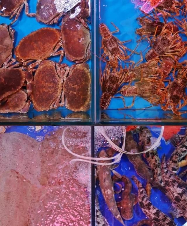 快乐|我在青岛做了这10件小事,找回了久违的快乐