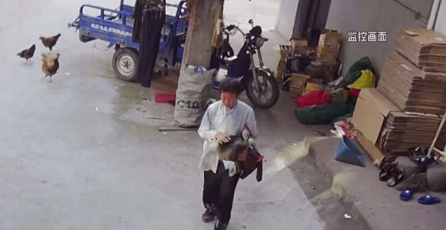  留言|留言追踪 | 76岁老人走失4天 家属心急如焚