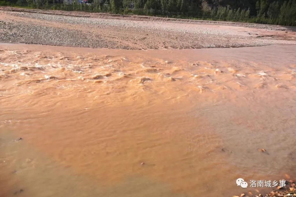  水文|洛河最新水文状况，水流量依然较大，河道里有未打捞的汽车