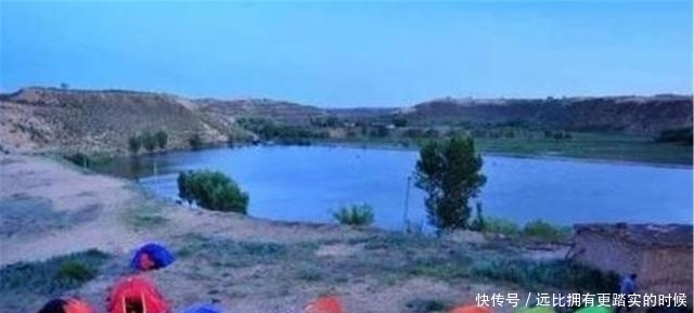 绿洲|中国一沙漠就快成为绿洲，却来了一群“祸害”，网友：全毁了！