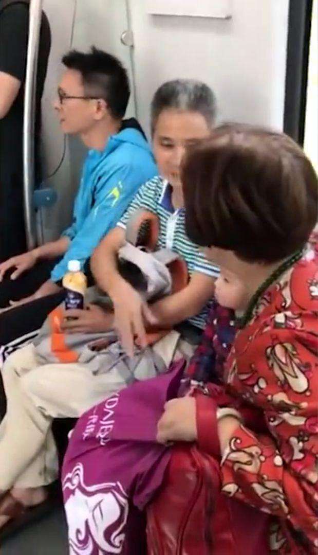 睡着|男子在地铁上因睡着没有主动让座，老人对其大骂没良心