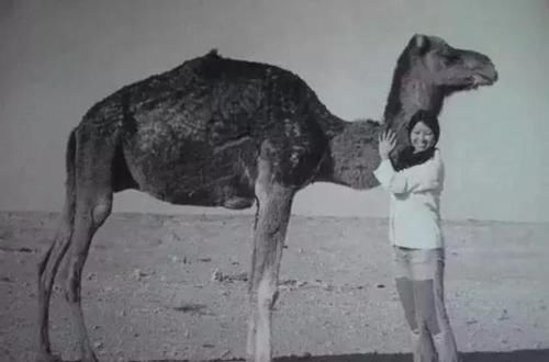  自杀|1次求婚被拒，2任丈夫死亡，3次自杀，48岁离世，作家三毛的一生