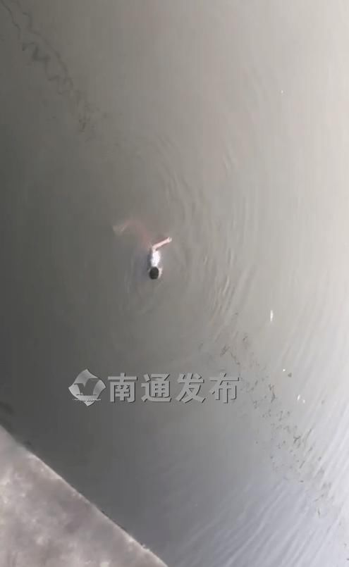  通启运河|一女子越过桥栏，跳河轻生……