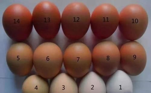 记得|很多人早上吃鸡蛋,都吃错了,有4个误区记得叮嘱家里人