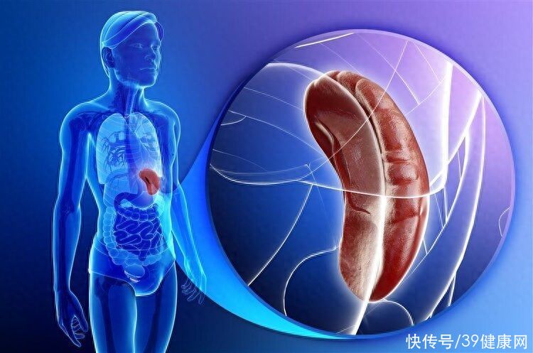 为啥中医说“屁为脾之镜，腰为肾之镜，胁为肝之镜”？一文告诉你2023