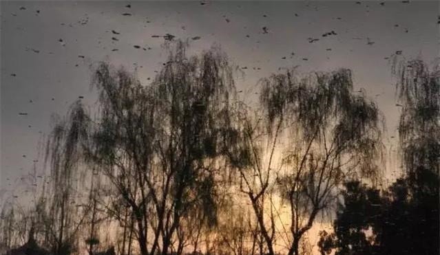 精辟|《三国志》10则经典语录,精辟有理,道破人心!