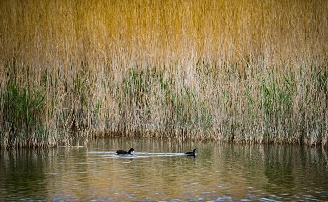  湖水|大柴旦：五彩谷天地雄奇之峻，翡翠湖水云婉约之华，柴达木探秘4