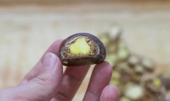  指甲|这样剥板栗，1秒钟剥一个，轻松剥壳还不伤指甲！