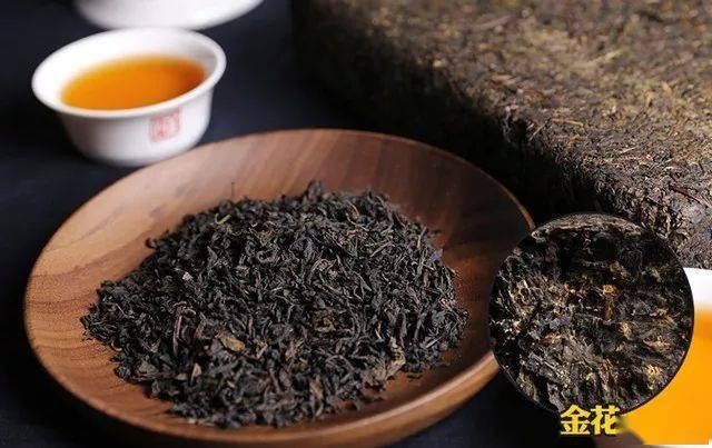 茶梗|黑茶中的茶梗决定了黑茶的质量!