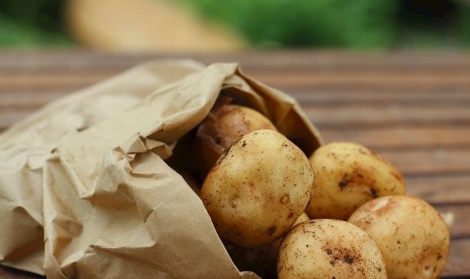  不知|土豆都吃过，只知道有营养，却不知还有这么多功效，涨知识了！