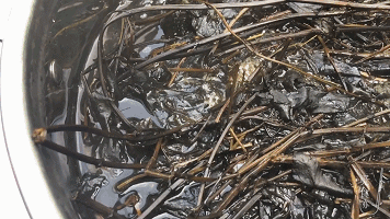  中毒|加了这东西口感更好？吃1克就中毒！老板被判刑