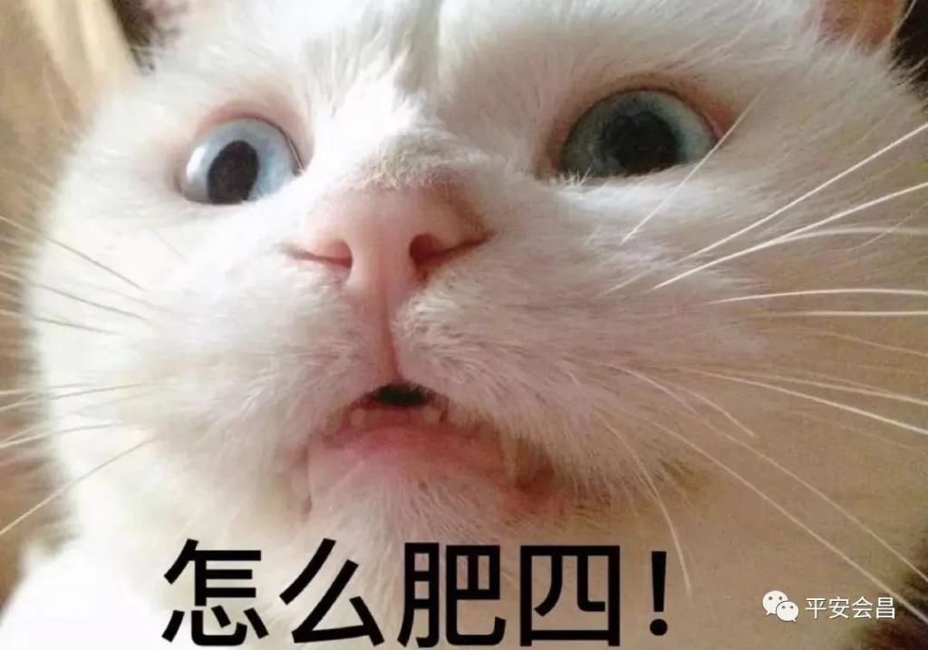  欧某|【警示】会昌一男子找“老婆”反被警方拘留，原来他是这么找的！