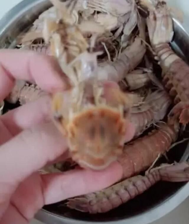 皮皮虾|煮了一锅皮皮虾,发现其中一只蜷成团,打开一看没心情再吃了