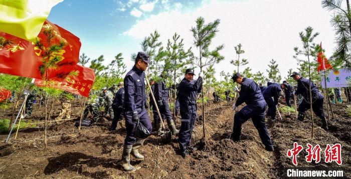 黑龙江省2023年已完成造林绿化4.06万亩