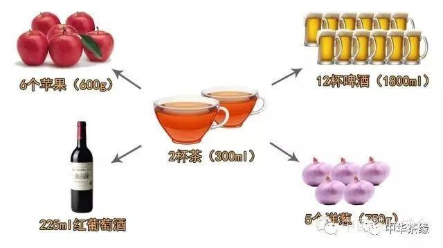 喝茶|陈宗懋院士公开课：“饮茶与健康”之茶叶功效内容精要