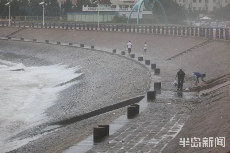 降水|青岛澳门路海边风大浪急，仍有人顶着大浪捞海冻菜