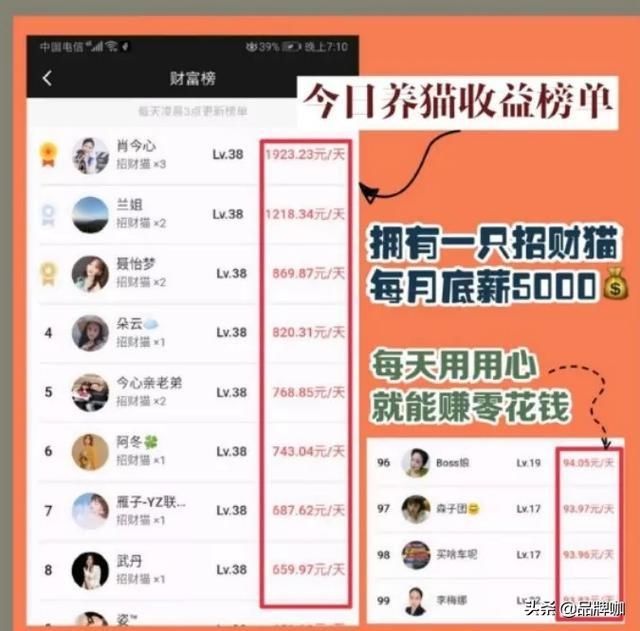 养猫|“云养猫”太费钱?6000多人被骗得血本无归