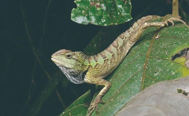 生长|云之南，一个生生不息、万物生长的地方