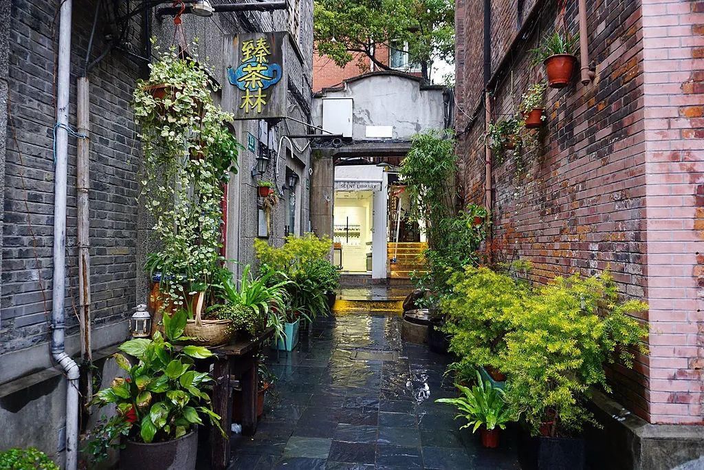  留言|留言有礼 | 扒一扒《乘风破浪的姐姐》里那些“作”出花样儿的上海姐姐~